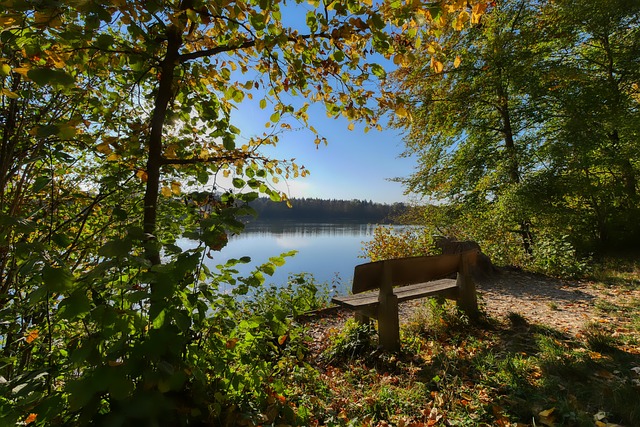 若詹姆斯无 若詹姆斯无