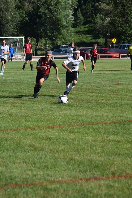 可能是导致 可能是导致