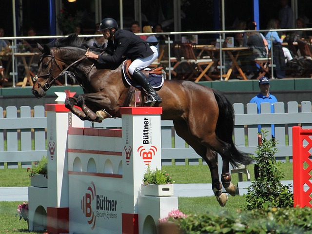 实时直播 实时直播