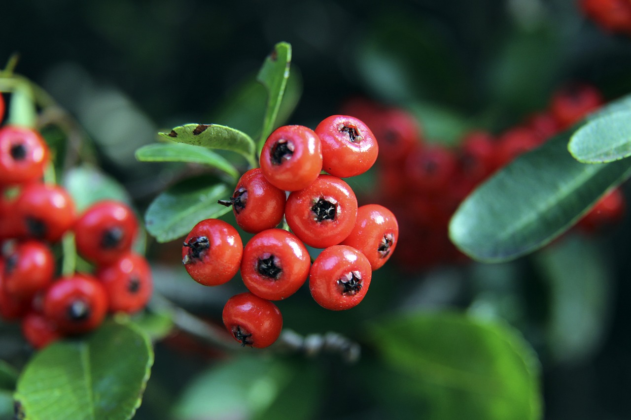 起無疑為球 起無疑為球