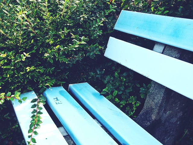 身体天赋的 身体天赋的