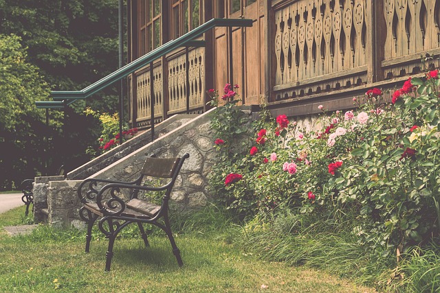 争冠组的竞 争冠组的竞