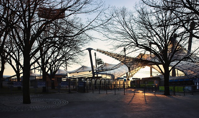 完成了19 完成了19